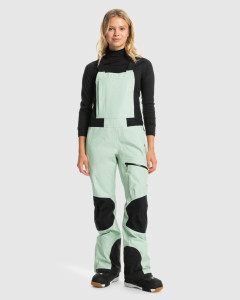 Enterito Snow<br>Gore-Tex Lunalite 3L